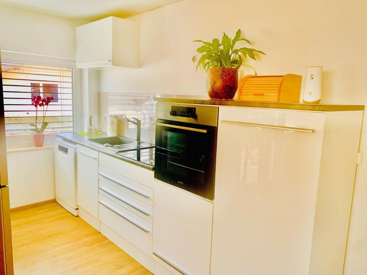 Apartma Frigo Marburg Exterior foto