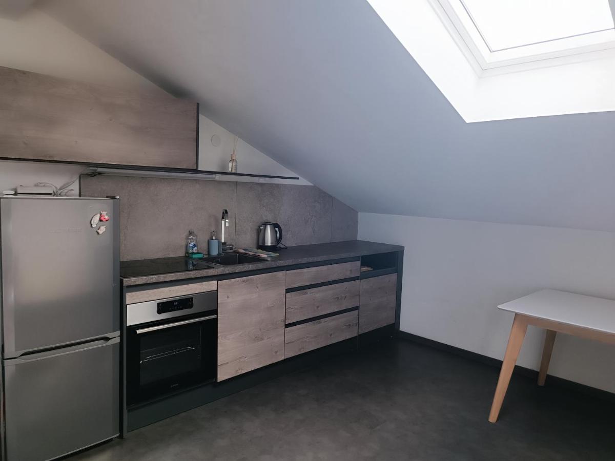 Apartma Frigo Marburg Exterior foto